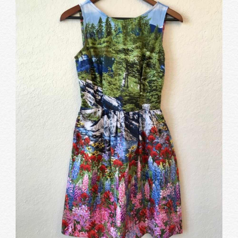 Retrolicious Mountain Dress
